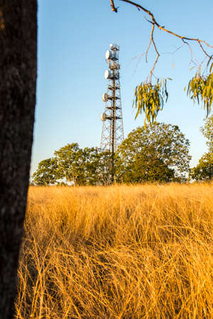 Radio tower in the afternoon at Redbank Plains, Brisbane, Queensland.の写真素材