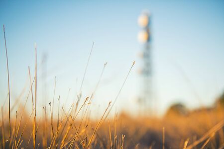 Radio tower in the afternoon at Redbank Plains, Brisbane, Queensland.の写真素材