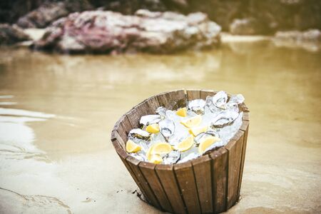 Fresh oysters on ice at the beach during the dayの写真素材