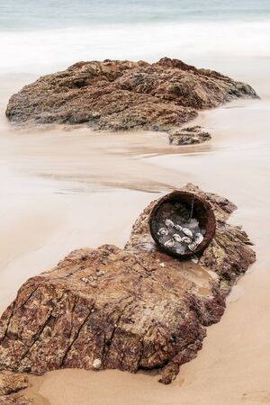 Fresh oysters on ice at the beach during the day