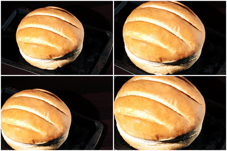 Round loaf of bread on a baking tray with a multi panel effectの写真素材