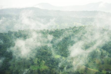 Trees and mountains near Springbrook in Queensland on a cloudy and rainy day.