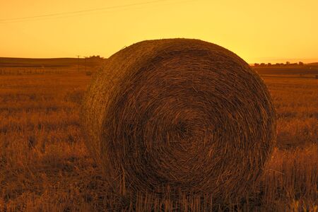 Outback agricultural and farming field with hay in Queensland in the afternoon.