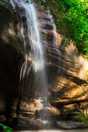 Serenity Falls in Buderim, Sunshine Coast, Australia. Located in the Buderim Forest waterfall walk.
