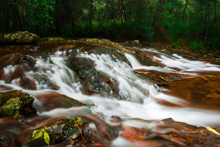 Goomoolahra creek at Springbrook National Park in Queensland.の写真素材
