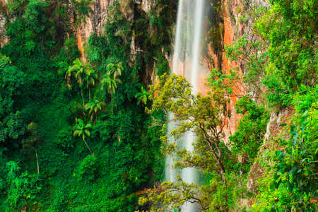Purling brook Falls at Springbrook National Park in Queensland.