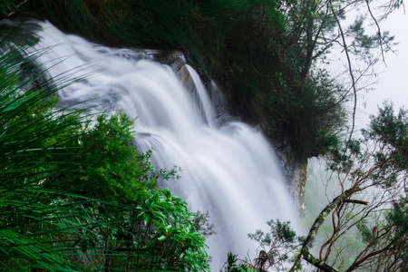 Goomoolahra Falls in Springbrook National Park, Queensland on a rainy and cloudy day.