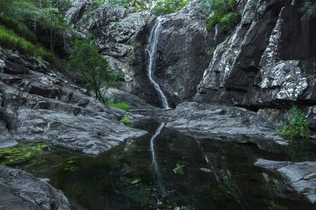 Cedar Creek waterfall in Mount Tambourine, Queensland.の写真素材