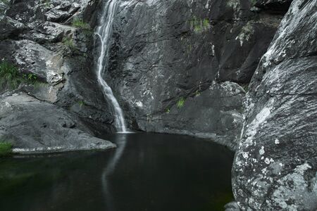 Cedar Creek waterfall in Mount Tambourine, Queensland.の写真素材