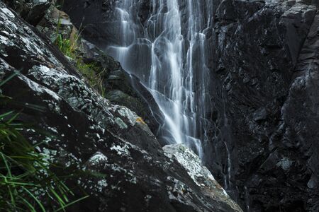 Cedar Creek waterfall in Mount Tambourine, Queensland.の写真素材