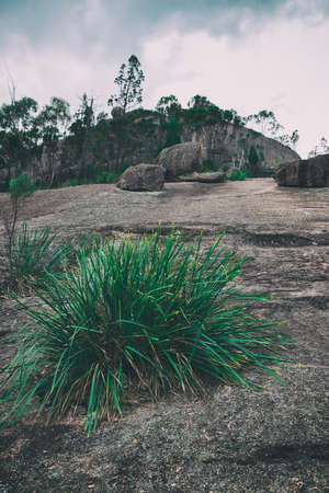 Girraween National Park during the day in Queensland, Australiaの写真素材