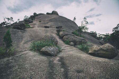 Girraween National Park during the day in Queensland, Australiaの写真素材