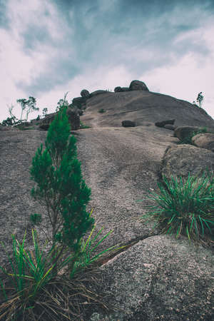 Girraween National Park during the day in Queensland, Australiaの写真素材