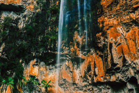Purling brook Falls at Springbrook National Park in Queensland.の写真素材