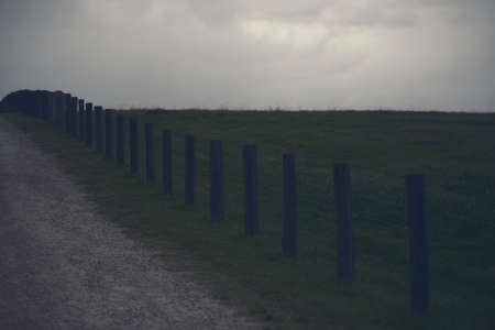 Fence on a paddock during the day