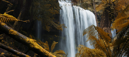 The beautiful Russel Falls after heavy rain fall in Mount Field National Park, Tasmania, Australia.