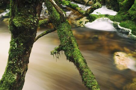 Knyvet Falls in Cradle Mountain, Tasmania after heavy rainfall.の写真素材