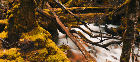 Knyvet Falls in Cradle Mountain, Tasmania after heavy rainfall with abstract red hues added.