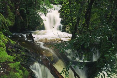 Knyvet Falls in Cradle Mountain, Tasmania after heavy rainfall.の写真素材
