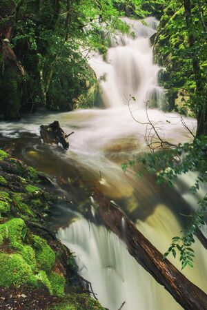 Knyvet Falls in Cradle Mountain, Tasmania after heavy rainfall.の写真素材