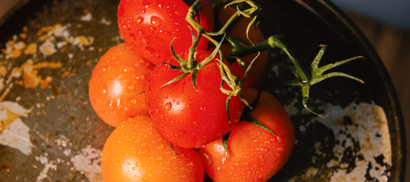 Red ripe fresh tomatoes on a metal baking tray.