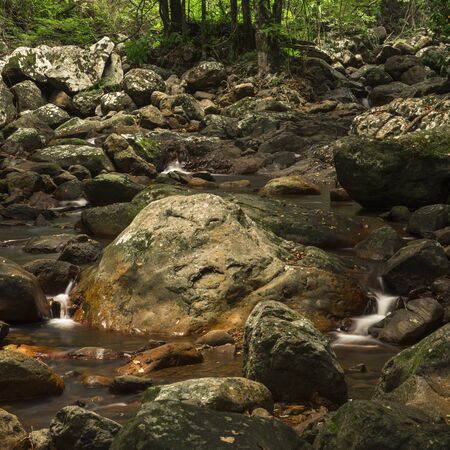 Natural Bridge Creek at Springbrook in Queensland.の写真素材