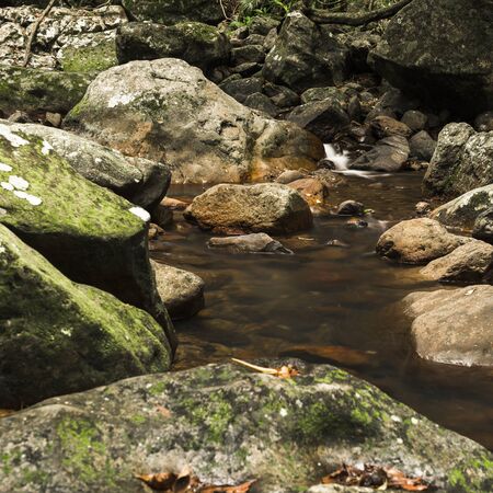 Natural Bridge Creek at Springbrook in Queenslandの写真素材