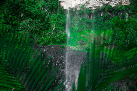 Purling brook Falls at Springbrook National Park in Queensland.の写真素材