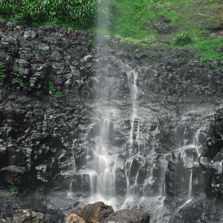 Purling brook Falls at Springbrook National Park in Queensland.