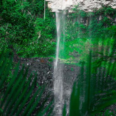 Purling brook Falls at Springbrook National Park in Queensland.