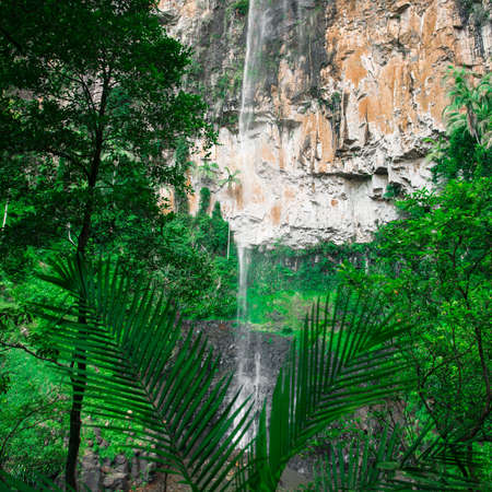 Purling brook Falls at Springbrook National Park in Queensland.の写真素材