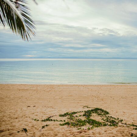 View from Tangalooma Island beach during the day.の写真素材