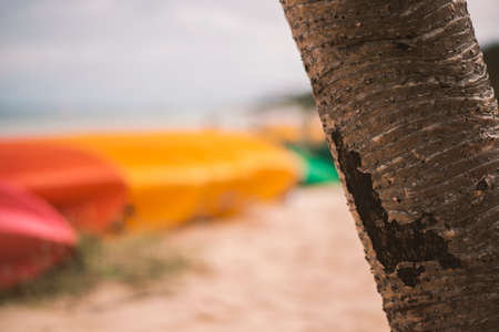 Row of colorful kayaks on the beach at Tangalooma Island, Moreton Bay.の写真素材
