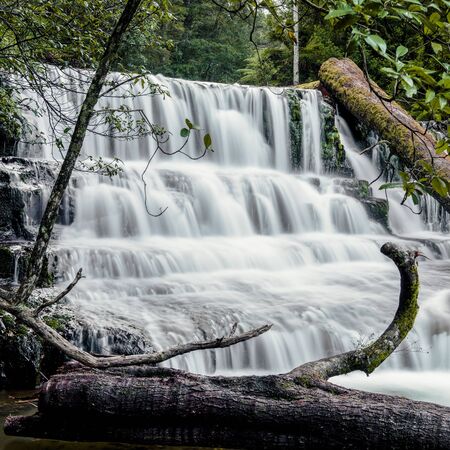 Beautiful Liffey Falls in the Midlands Region, Tasmania after heavy rain fall.の写真素材