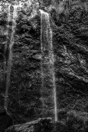 Naturally beautiful Twin Falls at Springbrook in Queensland.の写真素材