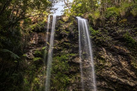 Naturally beautiful Twin Falls at Springbrook in Queensland.の写真素材