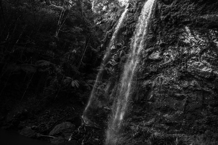 Naturally beautiful Twin Falls at Springbrook in Queensland.の写真素材