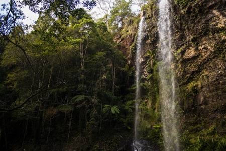 Naturally beautiful Twin Falls at Springbrook in Queensland.の写真素材