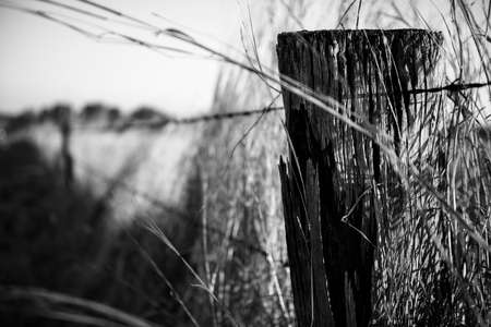 Sharp and rusted timber and metal fence in the countryside of Peak Crossing in Queensland.
