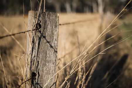 Sharp and rusted timber and metal fence in the countryside of Peak Crossing in Queensland.の写真素材
