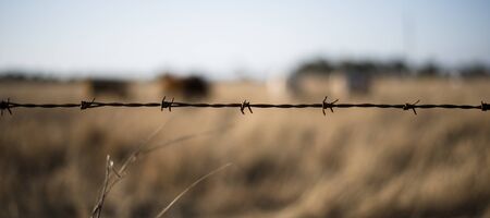 Sharp and rusted timber and metal fence in the countryside of Peak Crossing in Queensland.の写真素材