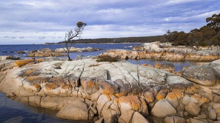 Bay Of Fires in Binalong Bay, Tasmania.の写真素材