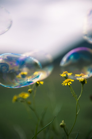 Bubbles floating in the outside amongst a country field.の写真素材