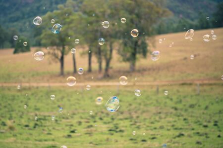 Bubbles floating in the outside amongst a country field.
