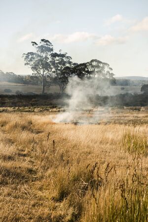 Bush fire in a country town in Hobart, Tasmania.の写真素材