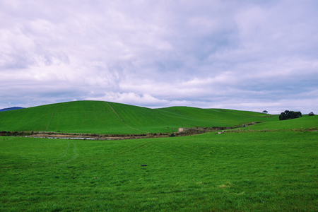 Farming field in Tasmania, Australia during the daytime.の写真素材