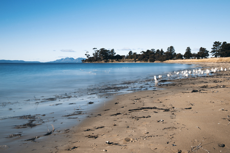 Beautiful Jubilee beach in the town of Swansea, Tasmania during the day.の写真素材