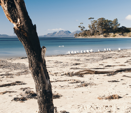 Beautiful Jubilee beach in the town of Swansea, Tasmania during the day.の写真素材