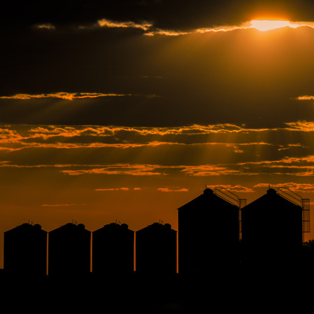 Agricultural silos, storage and drying for sunflower, soy, corn, wheat and grains.の写真素材