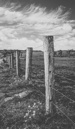 Agricultural and farming field in the countryside.の写真素材